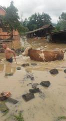 Kraljevo, danes, junij 3, 19